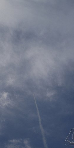 2012 Svojek mirek patek